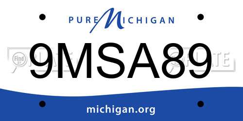 9MSA89 Michigan License Plate
