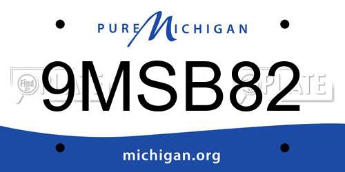 9MSB82 Michigan License Plate