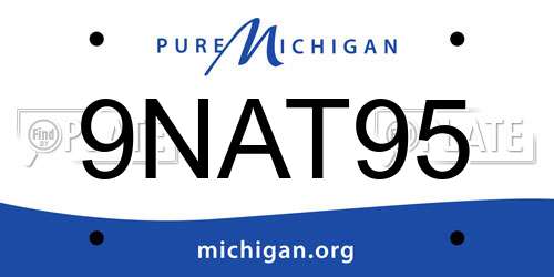 9NAT95 Michigan License Plate