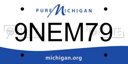 9NEM79 Michigan License Plate