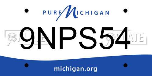 9NPS54 Michigan License Plate