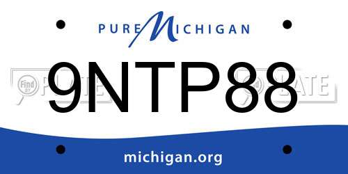 9NTP88 Michigan License Plate