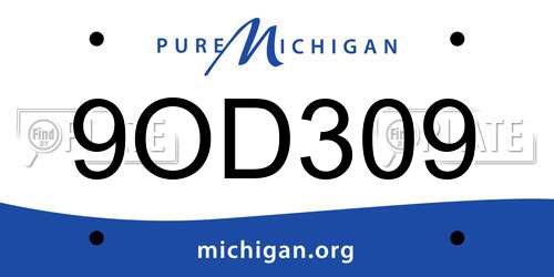 9OD309 Michigan License Plate