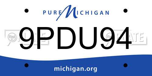 9PDU94 Michigan License Plate
