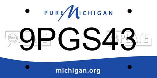 9PGS43 Michigan License Plate