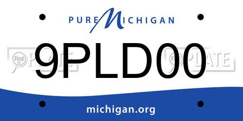 9PLD00 Michigan License Plate