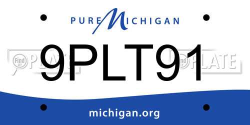 9PLT91 Michigan License Plate