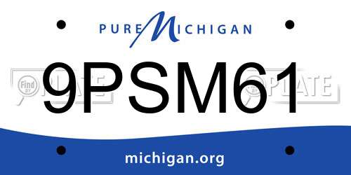 9PSM61 Michigan License Plate