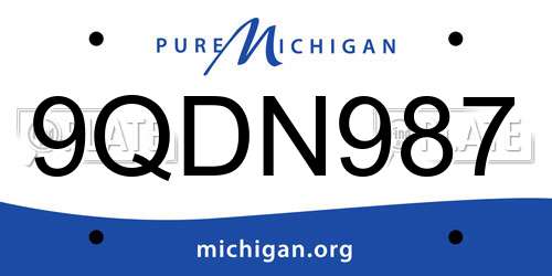 9QDN987 Michigan License Plate