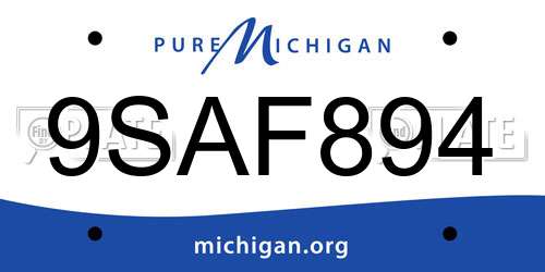 9SAF894 Michigan License Plate