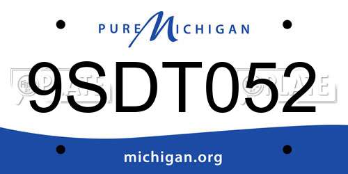 9SDT052 Michigan License Plate