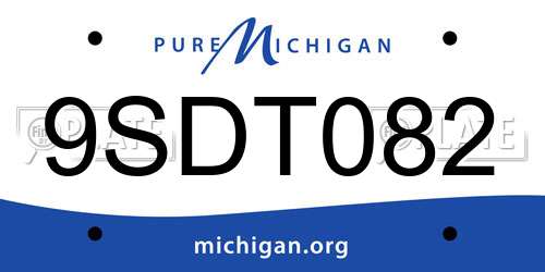 9SDT082 Michigan License Plate