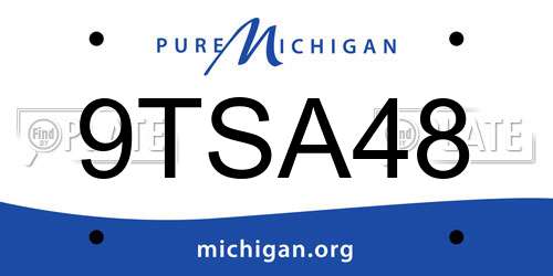9TSA48 Michigan License Plate