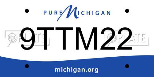 9TTM22 Michigan License Plate