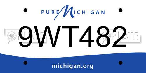 9WT482 Michigan License Plate