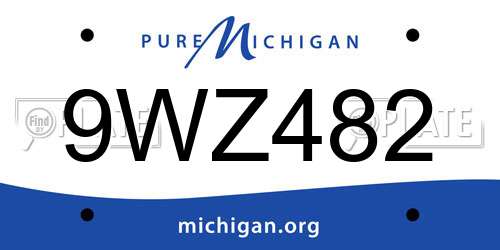 9WZ482 Michigan License Plate