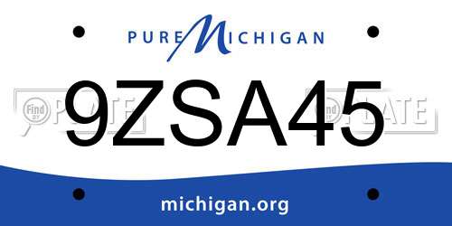 9ZSA45 Michigan License Plate