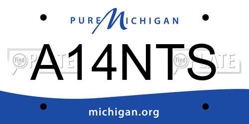 A14NTS Michigan License Plate