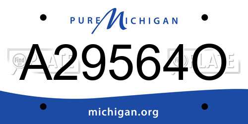 A29564O Michigan License Plate