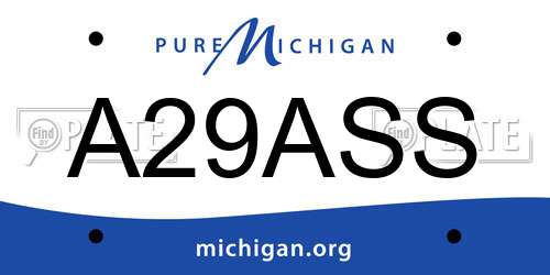 A29ASS Michigan License Plate