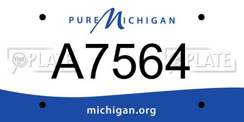 A7564 Michigan License Plate