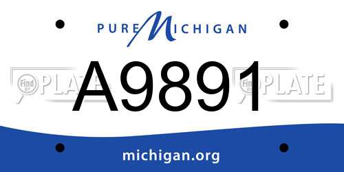 A9891 Michigan License Plate