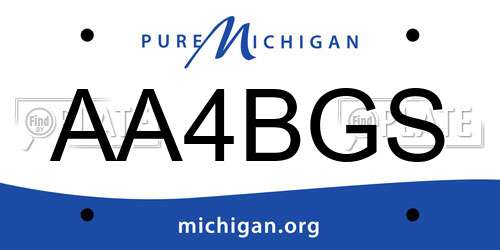 AA4BGS Michigan License Plate