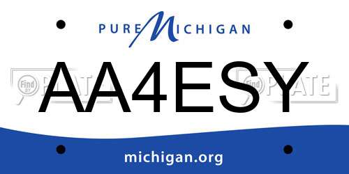 AA4ESY Michigan License Plate