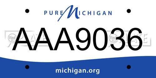 AAA9036 Michigan License Plate