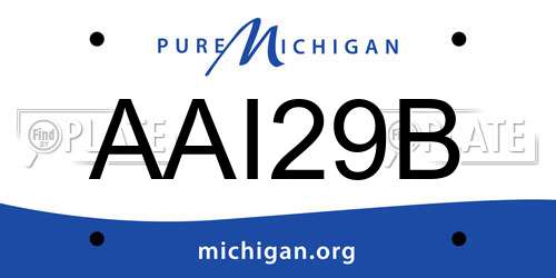 AAI29B Michigan License Plate