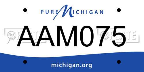 AAM075 Michigan License Plate