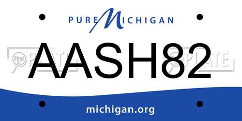AASH82 Michigan License Plate