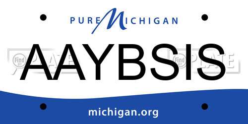 AAYBSIS Michigan License Plate