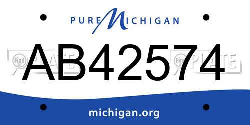 AB42574 Michigan License Plate