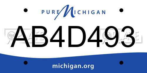 AB4D493 Michigan License Plate