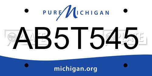 AB5T545 Michigan License Plate
