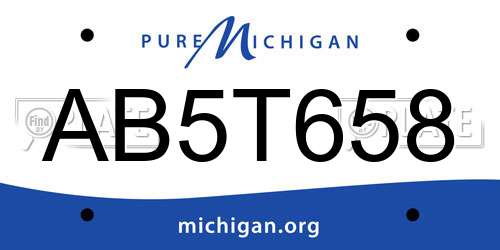AB5T658 Michigan License Plate
