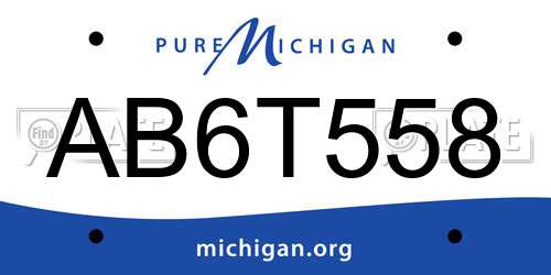 AB6T558 Michigan License Plate