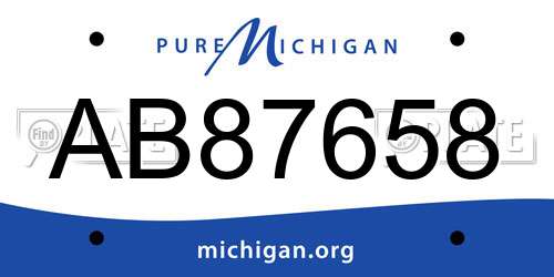 AB87658 Michigan License Plate