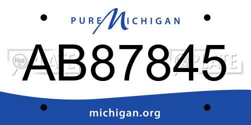 AB87845 Michigan License Plate