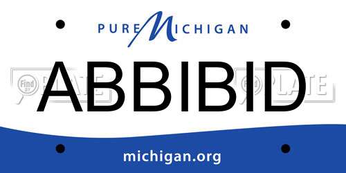 ABBIBID Michigan License Plate