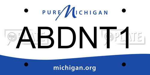 ABDNT1 Michigan License Plate