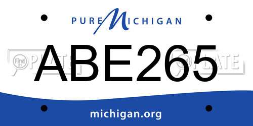 ABE265 Michigan License Plate