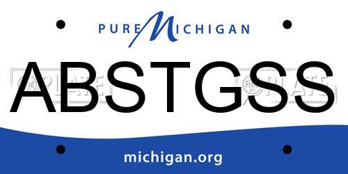 ABSTGSS Michigan License Plate