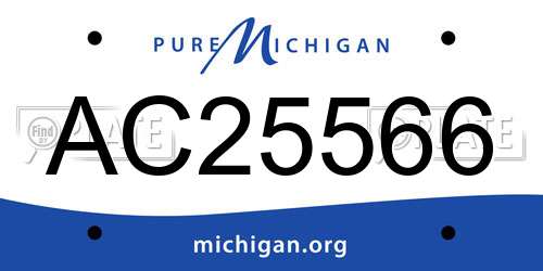 AC25566 Michigan License Plate