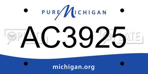 AC3925 Michigan License Plate