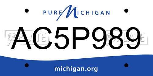 AC5P989 Michigan License Plate