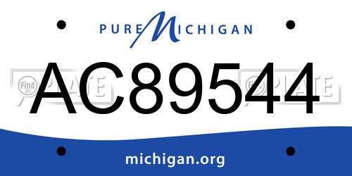 AC89544 Michigan License Plate