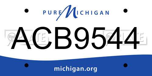 ACB9544 Michigan License Plate