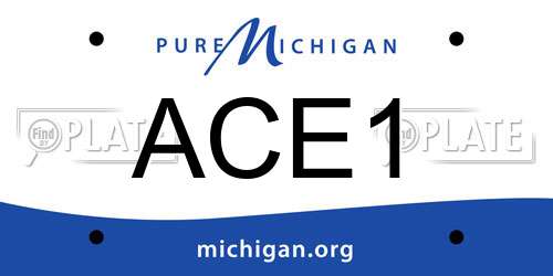 ACE1 Michigan License Plate